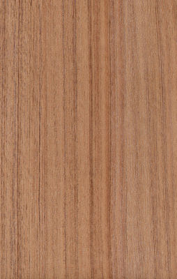 Mouldproof الخشب الجدار الحبيكة تلبيسة 100 ٪ شهادة عذراء المواد SGS